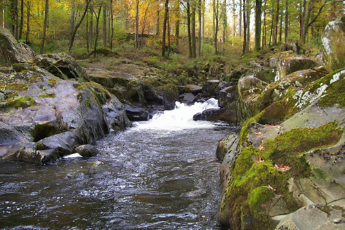 Mine Pool