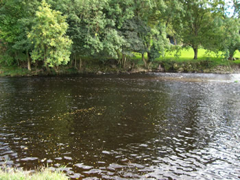 Stepping Stones