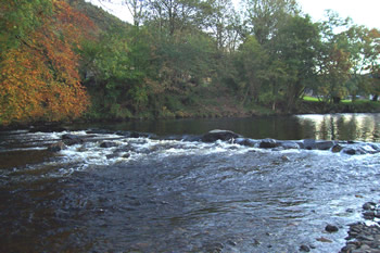 Stepping Stones